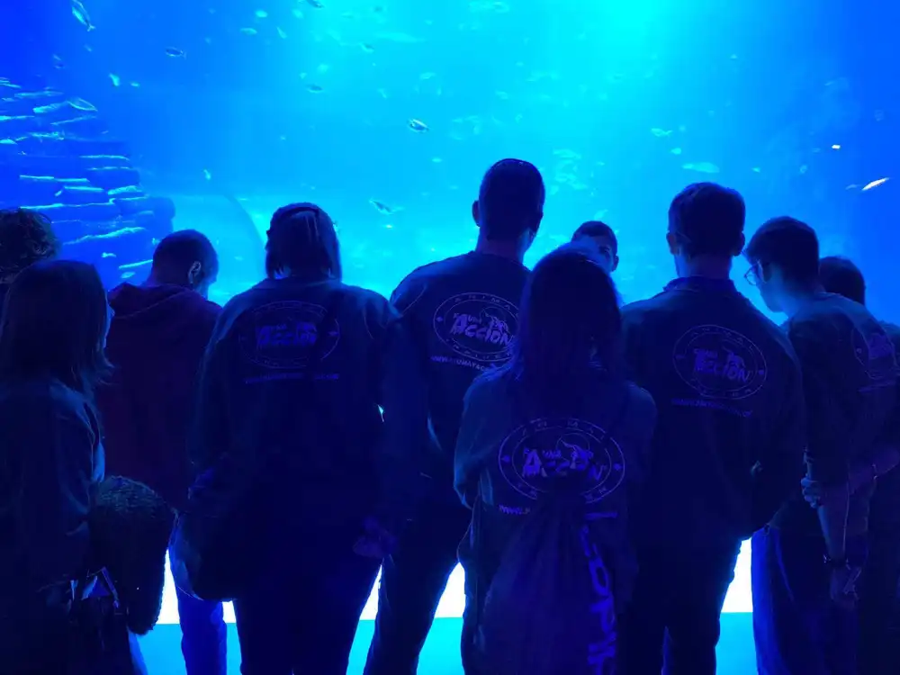 Grandes Acuarios y Fauna marina