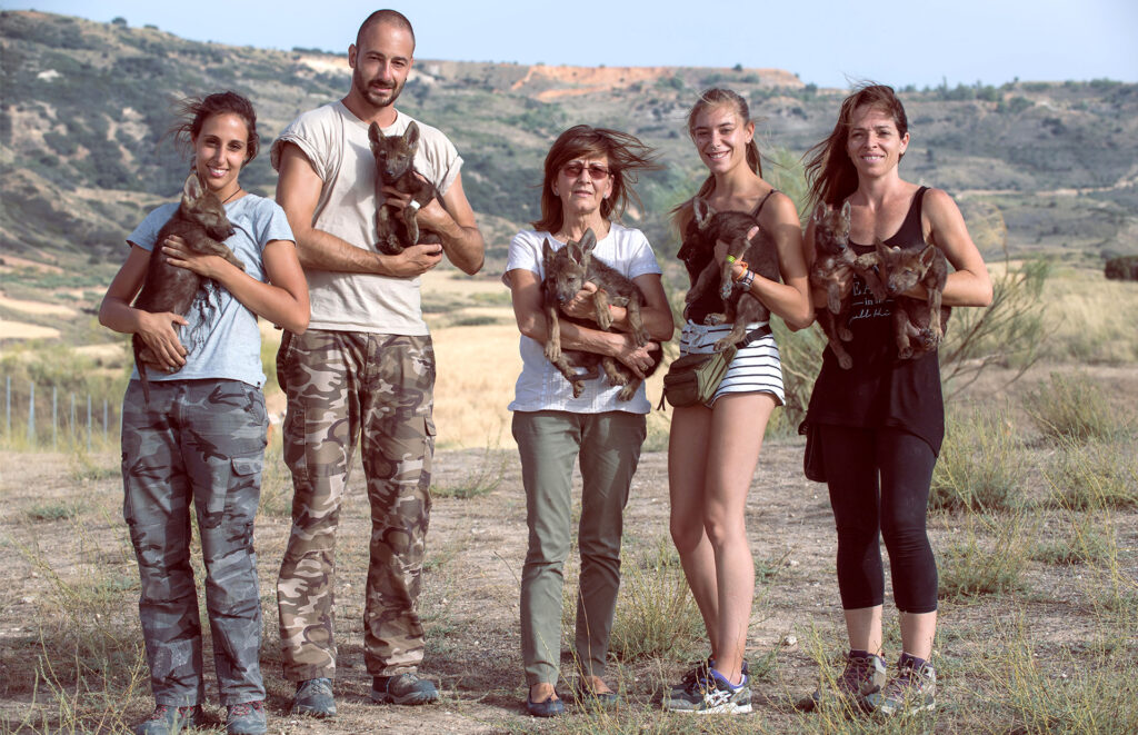 Centro Faunara. Formación especializada en fauna marina