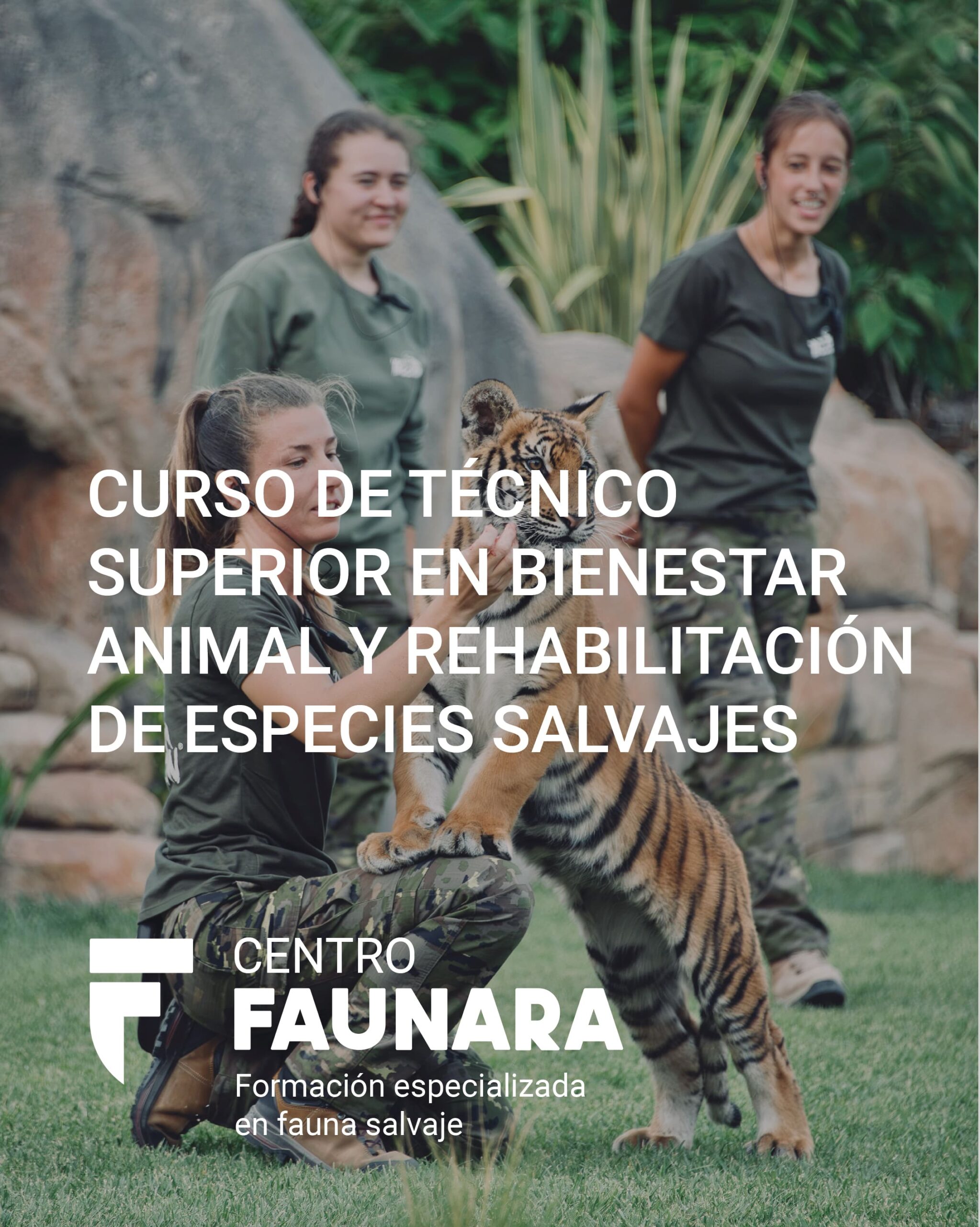 CURSO DE TÉCNICO SUPERIOR ESPECIALISTA EN FAUNA MARINA Y CONSERVACIÓN DE GRANDES ACUARIOS