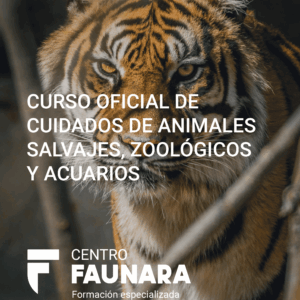 CURSO OFICIAL DE CUIDADOS DE ANIMALES SALVAJES, ZOOLÓGICOS Y ACUARIOS