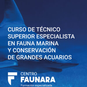 CURSO DE TÉCNICO SUPERIOR ESPECIALISTA EN FAUNA MARINA Y CONSERVACIÓN DE GRANDES ACUARIOS