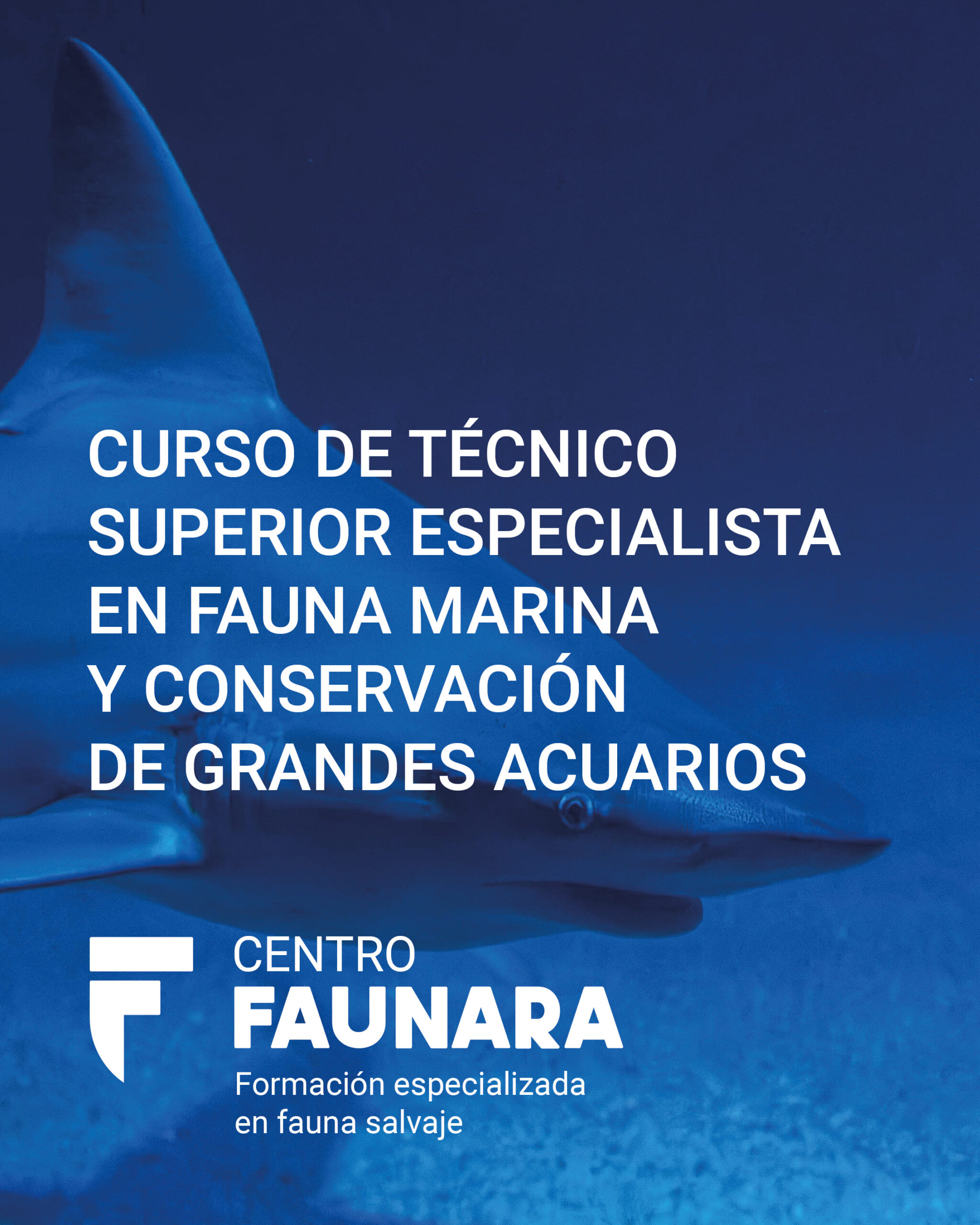 CURSO DE TÉCNICO SUPERIOR ESPECIALISTA EN FAUNA MARINA Y CONSERVACIÓN DE GRANDES ACUARIOS
