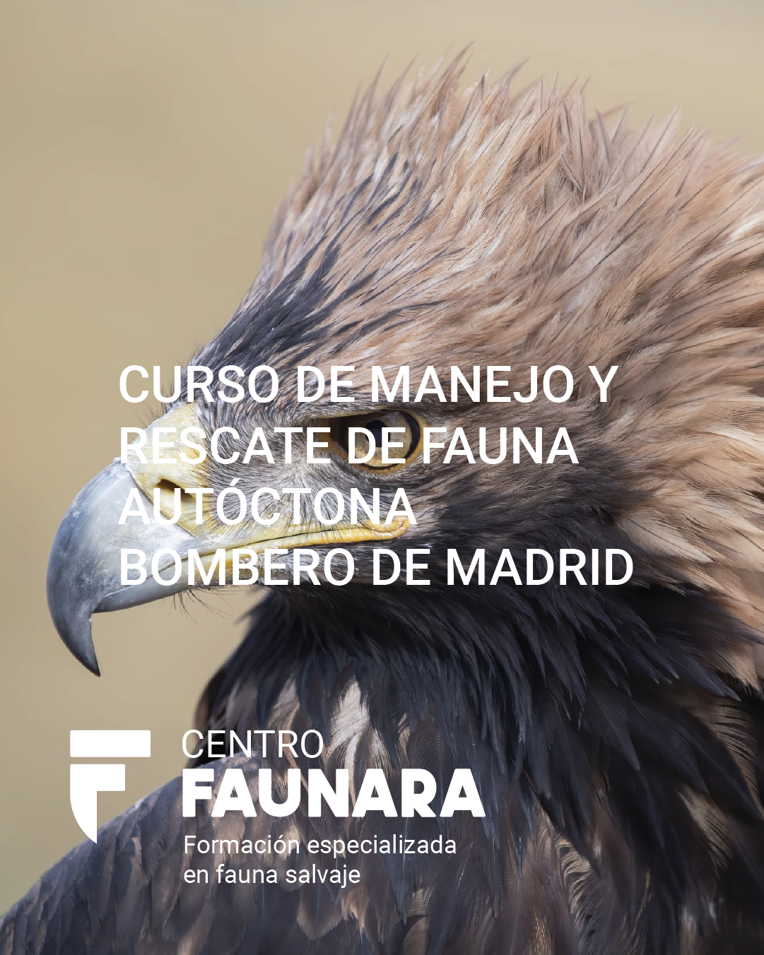 curso manejo y rescate fauna