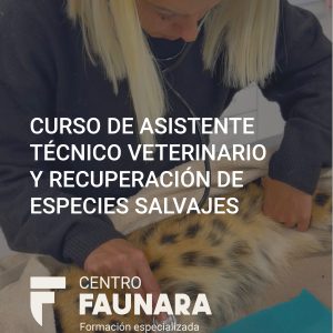 2. PAGO EN 1 PLAZO 3.290€ | CURSO DE ASISTENTE TÉCNICO VETERINARIO Y RECUPERACIÓN DE ESPECIES SALVAJES