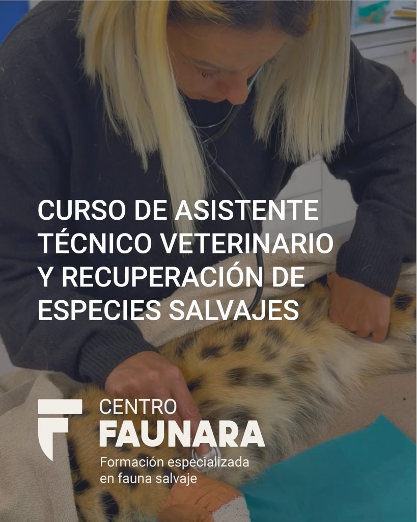 Curso de asistente técnico veterinario y recuperación de especies ...