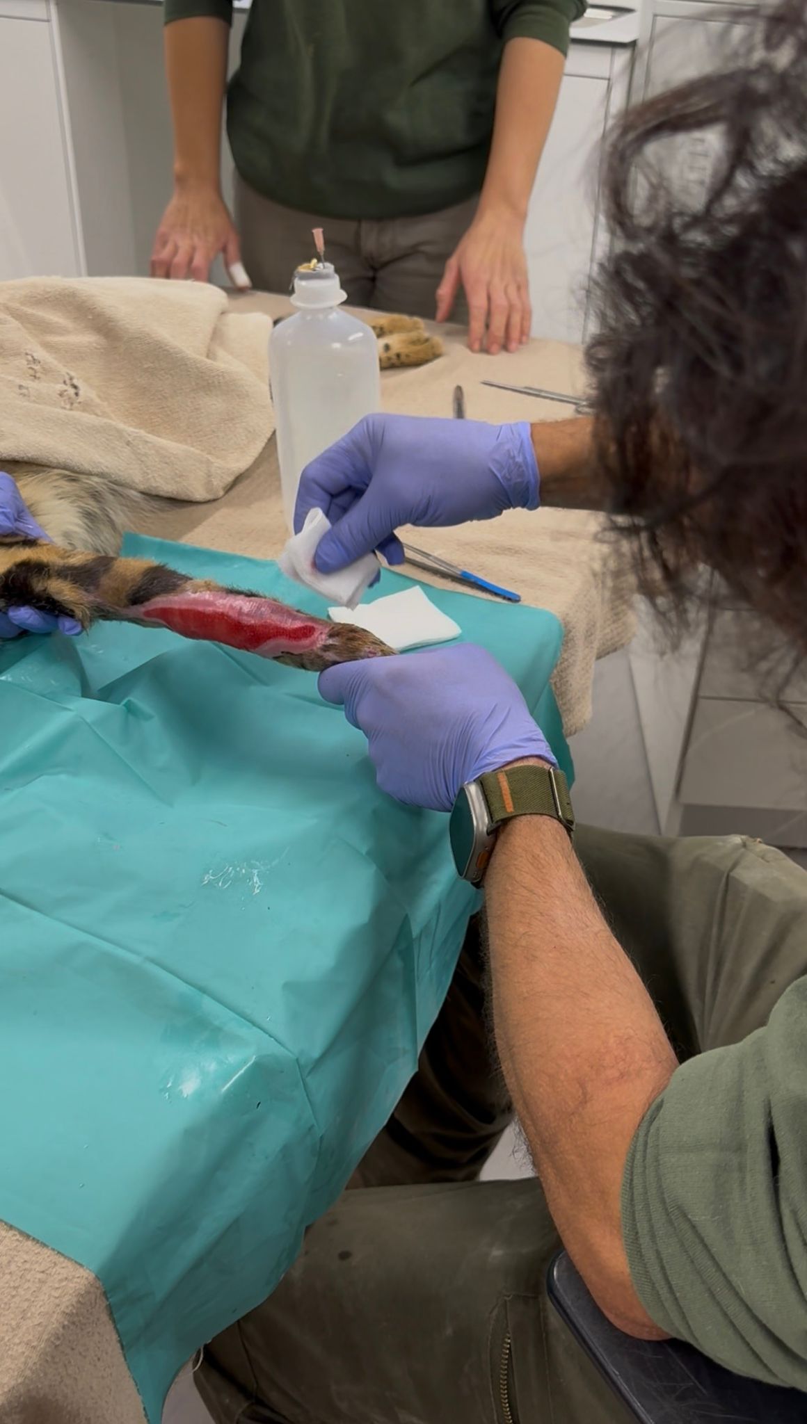 CASO ASKARI: lo imposible